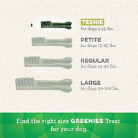 Greenies Holiday Limited Edition Packaging Natural Dog Dental Treats, Candy Cane Tube - BESTMASCOTA.COM