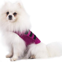 X@HE - Chaleco de alivio de ansiedad para perro, chaleco para mantener la comodidad, chaleco para perros de talla XS, M, L, XL, azul marino, gris, rosa, rojo y camuflaje - BESTMASCOTA.COM
