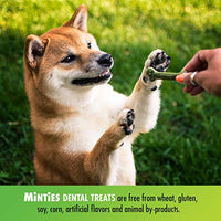 VetIQ Minties golosinas dentales para perros, masticables dentales para perros, (perfecto para perros medianos y grandes de más de 40 libras) - BESTMASCOTA.COM