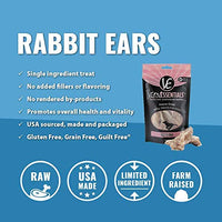 Vital Essentials Freeze-Dried Grain Free Limited Ingredient Dog Treats - BESTMASCOTA.COM
