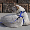 Coastal Pet Adjustable Figure H Cat Harness | Girth Size: 10" to 18" | One Size Fits Most - BESTMASCOTA.COM