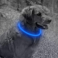 Collar de perro recargable por USB, LED, brilla en la oscuridad, collar para mascotas, resistente al agua, cortable, de TPU, para perros pequeños, medianos y grandes - BESTMASCOTA.COM