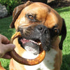 Bully Stick anillos dulces naturales para perro saludables, bueno grosor bajo olor Pizzle Stix, carne de vacuno alimentado a pasto. - BESTMASCOTA.COM