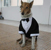 Evursua - Traje de esmoquin para perros grandes, para bodas y fiestas - BESTMASCOTA.COM