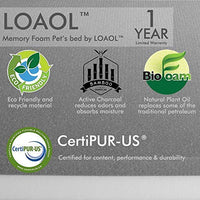 LOAOL - Colchón ortopédico para cama de mascotas, de espuma viscoelástica, resistente al agua, 4 pulgadas, con funda intercambiable - BESTMASCOTA.COM