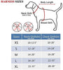 PoyPet 2019 - Arnés para perro con 4 hebillas a presión, reflectante con 2 ganchos delanteros y traseros y un mango de fácil control [no necesita pasar por encima de la cabeza del perro] - BESTMASCOTA.COM