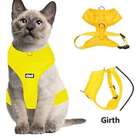 Arnés para gato acolchado y resistente al agua Dexil - BESTMASCOTA.COM