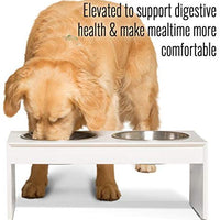 PetFusion - Cuencos elevados para perros, cuencos para gatos (4 pulgadas, 8 pulgadas de altura), bambú con sello resistente al agua. Cuencos elevados de acero inoxidable de grado alimenticio de EE. UU. - BESTMASCOTA.COM
