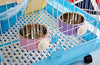 RUBYHOME Comedero para perros, cuenco de agua para mascotas, cuenco de plástico 2 en 1 y cuenco de acero inoxidable, cuenco extraíble para colgar gatos, conejos, pájaros, comida, cuenco perfecto para cajas y jaulas - BESTMASCOTA.COM