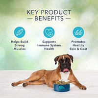 Alimento balanceado Blue Freedom, para perros adultos, sin granos - BESTMASCOTA.COM