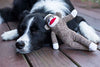 Pet qwerks Sock Monkey Dog Toy - BESTMASCOTA.COM