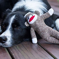 Pet qwerks Sock Monkey Dog Toy - BESTMASCOTA.COM