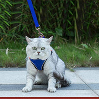 Arnés ajustable para mascotas, gato, gato, gato, gatito, arnés para caminar, chaleco de malla suave con tiras reflectantes, arnés para perros y gatos pequeños - BESTMASCOTA.COM