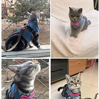 Stock Show - Chaleco arnés para gatos y perros con correa a juego con un bonito lazo, correa desmontable Reteo estilo británico arnés para cachorros medios, perros y gatos - BESTMASCOTA.COM