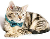 KUDES - Juego de 2 collares para gato con pajarita y campana para gatitos y algunos cachorros, ajustable de 7.8 a 10.5 pulgadas - BESTMASCOTA.COM