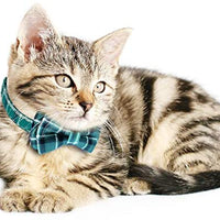 KUDES - Juego de 2 collares para gato con pajarita y campana para gatitos y algunos cachorros, ajustable de 7.8 a 10.5 pulgadas - BESTMASCOTA.COM