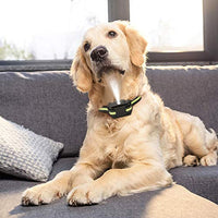 Zeonetak collar de corteza en spray para entrenamiento de perro, Citronella Control Stop ladrando collar para perros pequeño, mediano, grande, ajustable, recargable, impermeable, sin golpes y humanos - BESTMASCOTA.COM