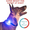 Hunter Paisley Luz LED para Collar de Perro Caminando por la Noche.Paquete de 2 Pack Impermeable Perro Luz LED Super Brillante para Perro Paseo Nocturno Adjuntar al Collar, Correa o Arnés, Baterías Extras - BESTMASCOTA.COM
