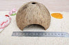 Coco Shell Hut hábitat Natural Hideout para pescado, lagartos, arañas, Hermit Crabs, reptiles, Hámsters orgánico no tóxico Hideout - BESTMASCOTA.COM