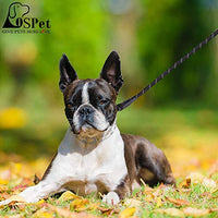 Collar profesional para perro con pinza de perro, tamaño ajustable con hebilla de liberación rápida de acero inoxidable, collar de perro con puntas cómodas, correa resistente - BESTMASCOTA.COM