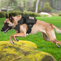 Rabbitgoo Tactical Dog Harness Vest Large with Handle, Military Working Dog Molle Vest with Metal Buckles & Loop Panels, No-Pull Adjustable Training Harness with Leash Clips for Walking Hiking Hunting - BESTMASCOTA.COM