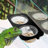 Bowls Gecko Feeding Ledge, Reptile Suction Cup Food Dish for Snakes Lizards Spiders Chameleons Corn Snakes Iguanas Reptiles - BESTMASCOTA.COM