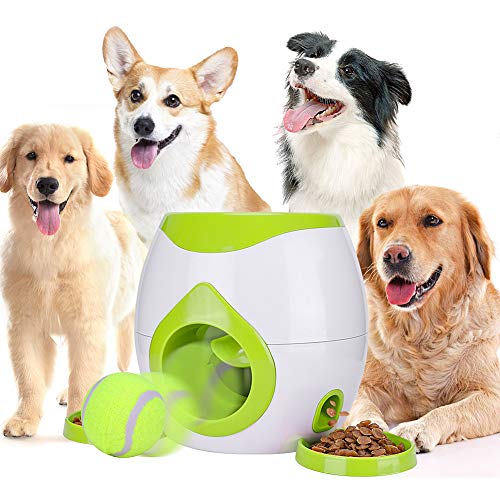 CHLEBEM Juguetes interactivos para perro, juguete para masticar para perros  pequeños y medianos, dispensador de alimentos IQ Treat, puzle para cachorros  y mascotas, bola de goma resistente y duradera, mejor limpieza de