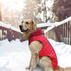 SCPET Abrigo de invierno acogedor impermeable a prueba de viento abrigo de invierno cálido para perro ropa de clima frío chaqueta para perro XS-3XL - BESTMASCOTA.COM