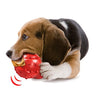 Nylabone - Peluche para perro - BESTMASCOTA.COM