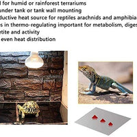 PeSandy - Almohadilla de calefacción para reptiles con ajuste de temperatura, 110 V no adhesiva, para reptiles, tortuga, serpientes, lagarto, gecko, cangrejo, tortuga, anfibios, 7 W, 14 W, 20 W, almohadilla de calor extraíble debajo del tanque - BESTMASCOTA.COM
