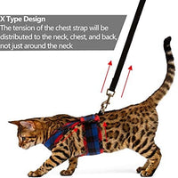 PUPTECK X-Figura Arnés para gato con correa – cuello ajustable a prueba de escape, chaqueta de malla para gatitos, cachorros - BESTMASCOTA.COM