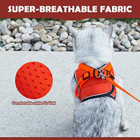 Arnés ajustable para mascotas, gato, gato, gato, gatito, arnés para caminar, chaleco de malla suave con tiras reflectantes, arnés para perros y gatos pequeños - BESTMASCOTA.COM