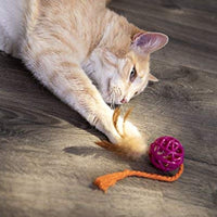 SmartyKat - Juguete para gatos con pluma - BESTMASCOTA.COM