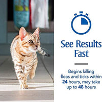 PETARMOR Plus Flea & Tick Prevention for Cats with Fipronil, Waterproof, Long-Lasting & Fast-Acting Topical Cat Flea Treatment - BESTMASCOTA.COM