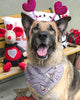 BoomBone Dog Valentines Day Bandana 2 Pac,Triangle Bibs Pet Scarf for Medium and Large Dogs - BESTMASCOTA.COM