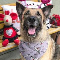 BoomBone Dog Valentines Day Bandana 2 Pac,Triangle Bibs Pet Scarf for Medium and Large Dogs - BESTMASCOTA.COM