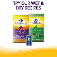 Wellness Natural Wellbars Crunchy Dog Treats - BESTMASCOTA.COM