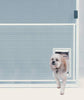 Ideal Pet Doors Screen Guard Pet Door - BESTMASCOTA.COM