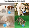 Versión mejorada 2.0: bolas blinkbrione para gatos y perros, enrollado automático/apagado automático, recargable por USB, pelota de juguete interactiva inteligente para gatitos, gatitos, cachorros con luces LED RGB, resistente al agua - BESTMASCOTA.COM