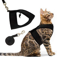 PUPTECK X-Figura Arnés para gato con correa – cuello ajustable a prueba de escape, chaqueta de malla para gatitos, cachorros - BESTMASCOTA.COM