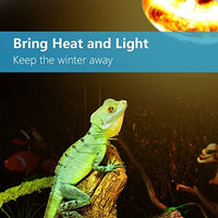 AMZCOOL UVB and UVA Reptile Heat Lamp Bulb Truly Sun-Like Bright Heat for Reptiles, Amphibian and Birds - BESTMASCOTA.COM