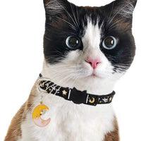 Barleygoo - 3 collares de gato con campanas de luna dorada y estrellas, ajustable de seguridad para cachorros que brillan en la oscuridad con colgante - BESTMASCOTA.COM