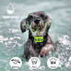Collar para perro sin ladridos con detección inteligente de vibración y golpes inofensivos – Dispositivo recargable antiladridos para perros pequeños, medianos y grandes - BESTMASCOTA.COM