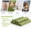 ULIGOTA Timothy - Palos de hámster para masticar hámster - BESTMASCOTA.COM