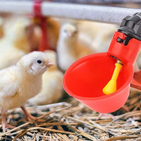 Vasos de plástico para pollo, 10 unidades, automáticos, para bebidas, para patios traseros, pájaros, codorniz, paloma, gallina, comedero de agua - BESTMASCOTA.COM