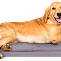 JoicyCo - Cama grande para perros, para perros grandes, camas de espuma antideslizante, con funda lavable - BESTMASCOTA.COM