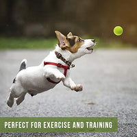 Hyper Pelotas de tenis para perros [Juguetes seguros para perros para ejercicio y entrenamiento] (bolas de tenis para perros de colores brillantes, fácil de localizar) - BESTMASCOTA.COM