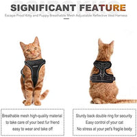 Juego de arnés y correa para gato, reflectante ajustable para gatos, para caminar al aire libre, con hebilla a prueba de escape, chaqueta de malla suave para gatos, cachorros - BESTMASCOTA.COM