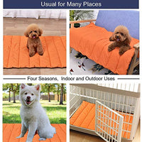 AMOFY Alfombrillas para mascotas, 43 pulgadas x 26 pulgadas, excepcionalmente higiénicas, antideslizantes, resistentes al agua, cómodas y portátiles, lavables a máquina, para uso en interiores y exteriores, para perros y gatos, cuatro estaciones - BESTMASCOTA.COM