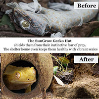 SunGrow Gecko Coco Hut, Raw Coconut Husk, Durable and Sturdy, Treat and Food Dispenser, Ideal for Reptiles and Amphibians, Nesting Home Hide, Rough Texture Encourages Foot and Beak Exercise - BESTMASCOTA.COM